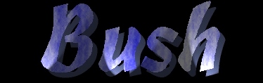 bush.jpg (19233 bytes)